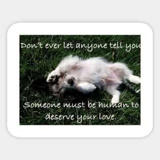 Dogs Deserve Love Sticker